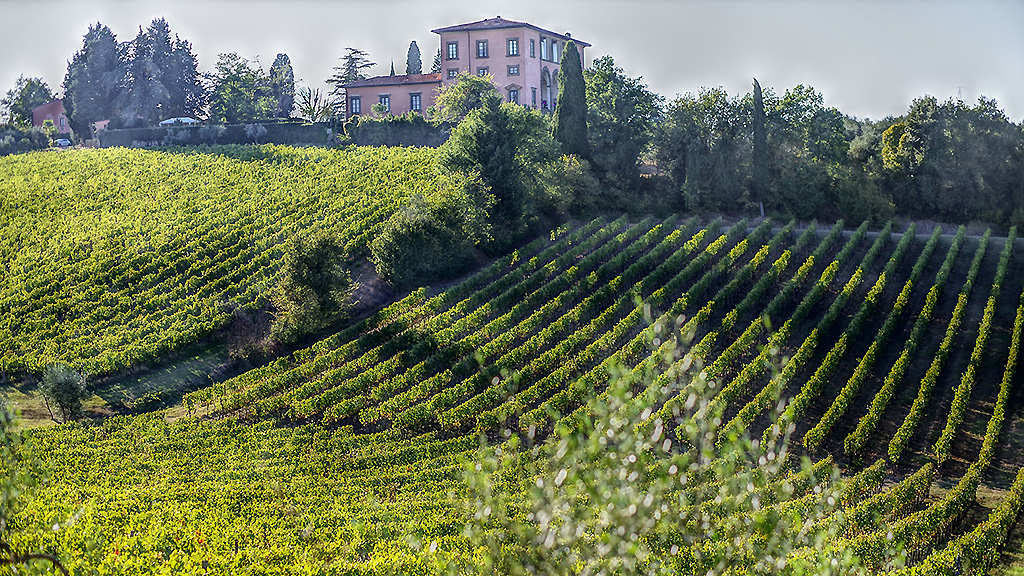 Spirito Italiano protocollo internazionale Tranquillamente Enoturismo di mtv
