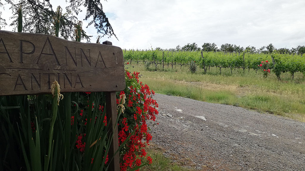 Spirito Italiano la meraviglia multisensoriale di Capanna in Montalcino