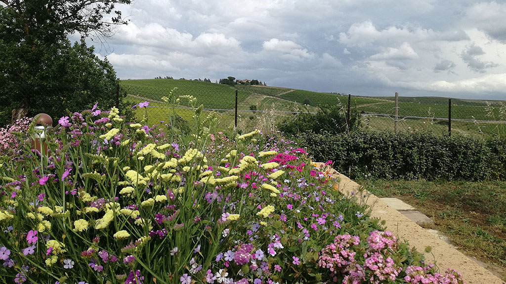 Spirito Italiano la meraviglia multisensoriale di Capanna in Montalcino