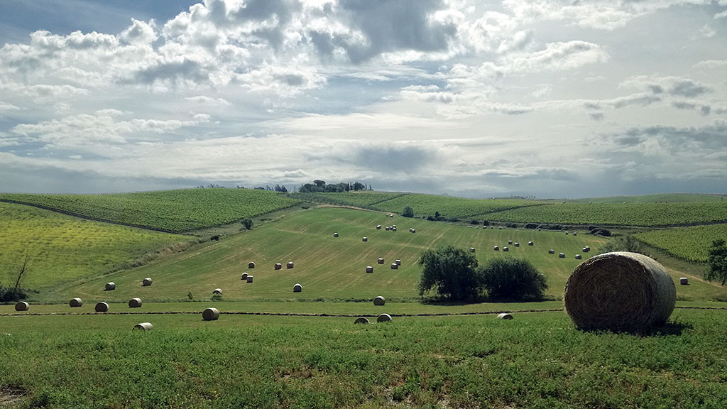 Spirito Italiano la meraviglia multisensoriale di Capanna in Montalcino