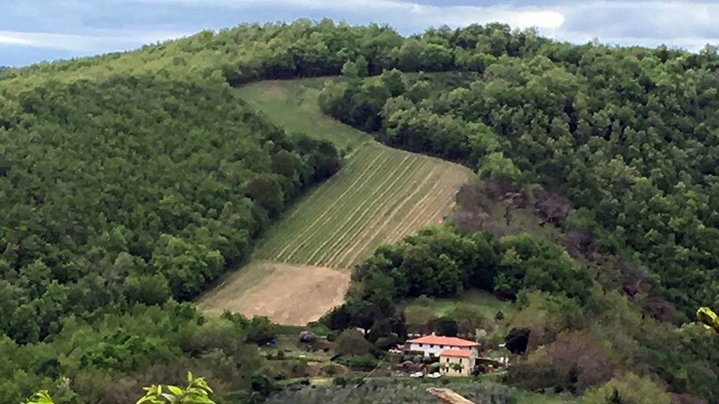 Spirito Italiano riesling,sfida,giotto,toscana Terre di Giotto - Vigneti Riesling, Pinot nero, Sauvignon blanc