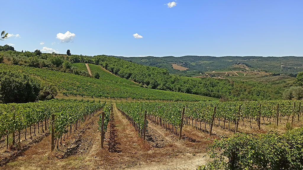 Spirito Italiano Agriturismo e Chianti classico: Fattoria Santo Stefano