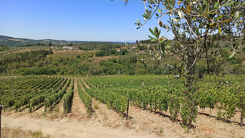 Spirito Italiano Agriturismo e Chianti classico: Fattoria Santo Stefano