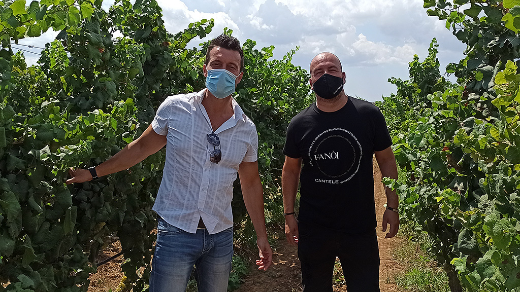Spirito Italiano da Cantele l'inimitabile effetto sinestetico del vino del Salento