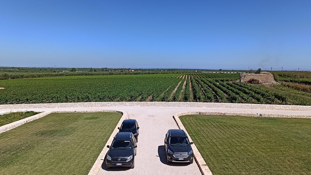 Spirito Italiano Tradizione e talento nel Primitivo e negli spumanti di Tenute Chiaromonte Spirito Italiano Tradizione e talento nel Primitivo e negli spumanti di Tenute Chiaromonte