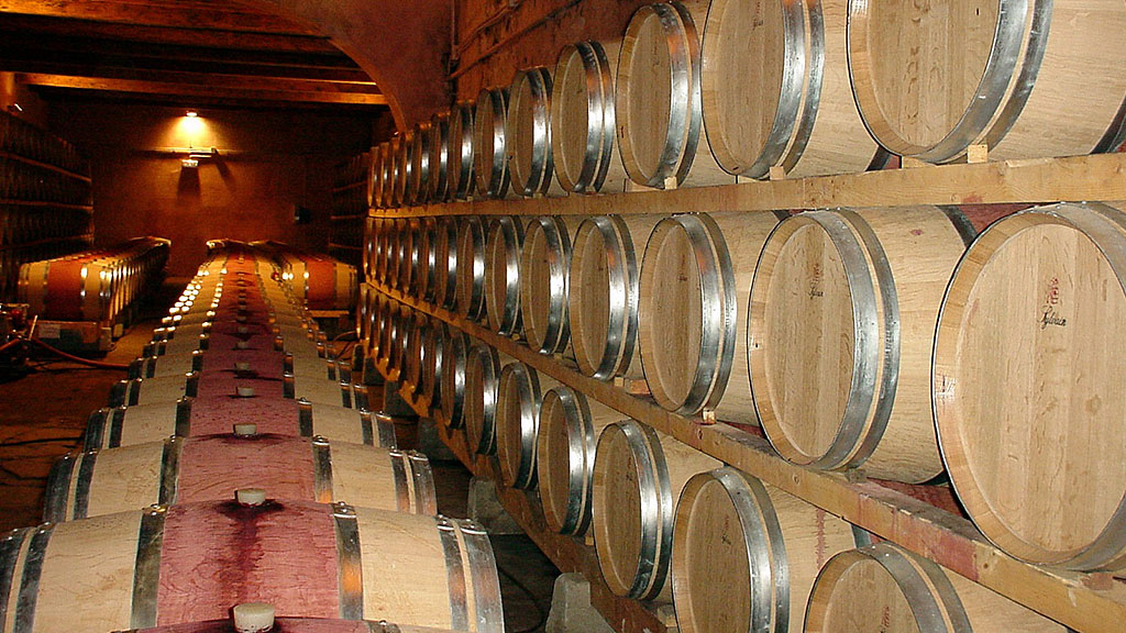 Spirito Italiano La vendemmia Italia 2020 si è dimostrata ottima nella qualità con lieve calo per quantità