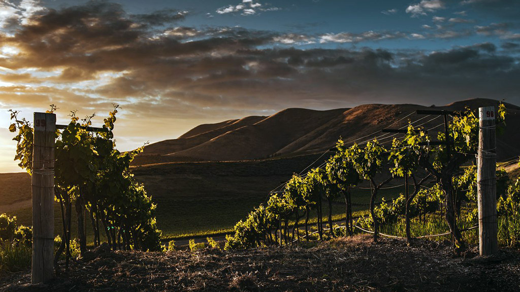 Spirito Italiano Si studia la messa in commercio del vino con la menzione "eroico" in etichetta.