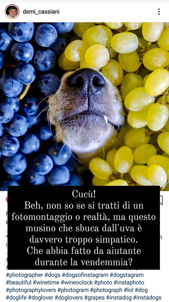 Spirito Italiano Le foto interalcoliche selezionate su Instagram da Sandra Panerai. Autunno 2020