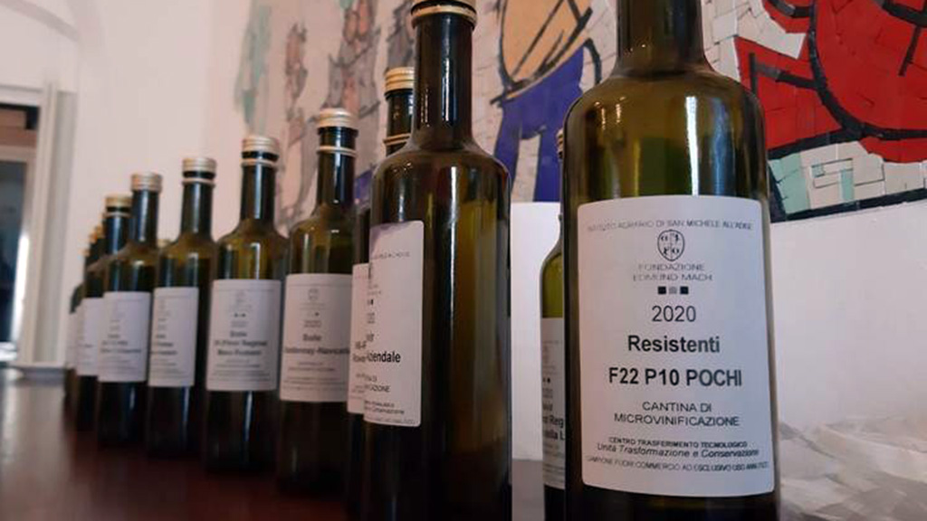Spirito Italiano fondazione mach degustazione uve tolleranti malattie fungine