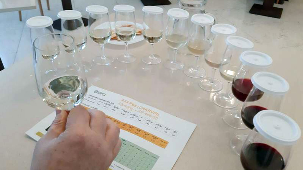 Spirito Italiano fondazione mach degustazione uve tolleranti malattie fungine