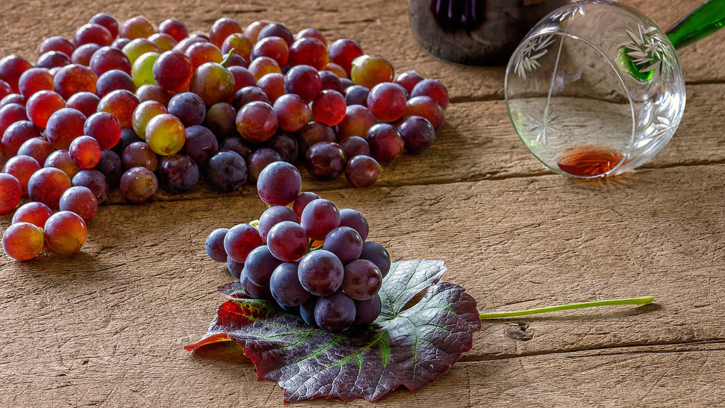 Spirito Italiano vino vegano futuro produzione esportazione