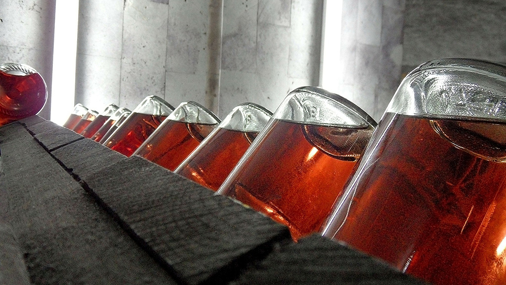Spirito Italiano vino vegano futuro produzione esportazione