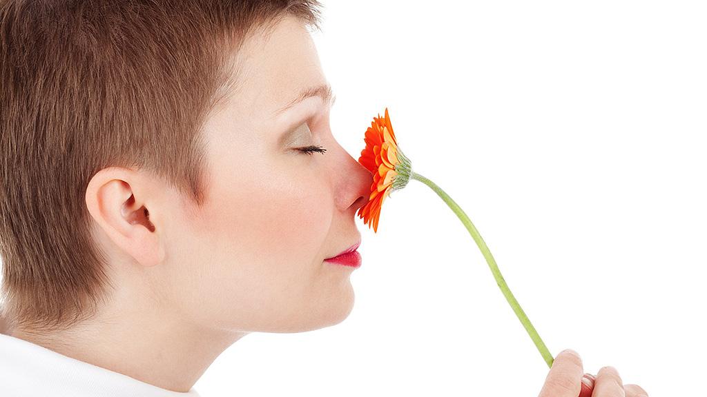 Spirito Italiano vino donne olfatto vino Spirito Italiano vino donne olfatto vino