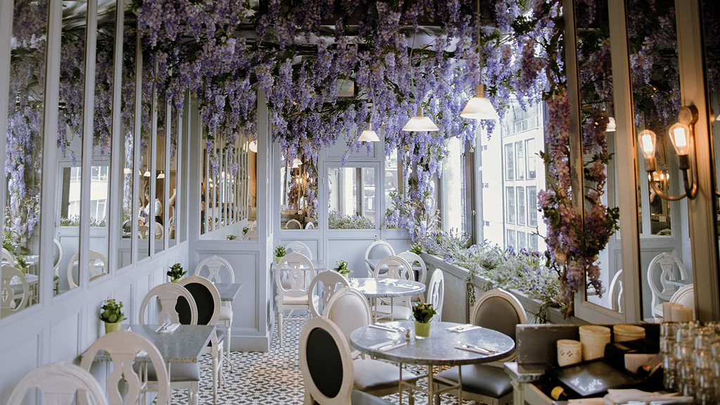 Spirito Italiano vino donne olfatto vino Spirito Italiano vino donne olfatto vino