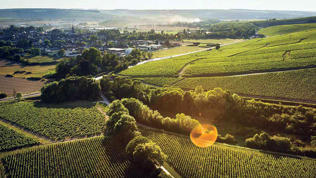 Spirito Italiano risultati migliori chablis 2021