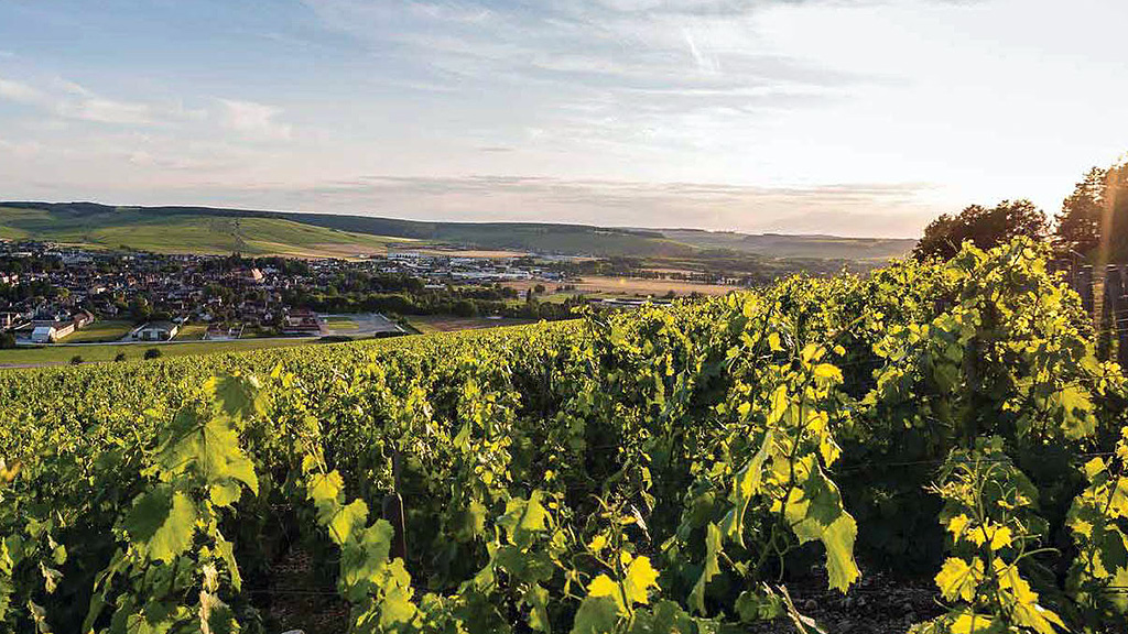 Spirito Italiano risultati migliori chablis 2021