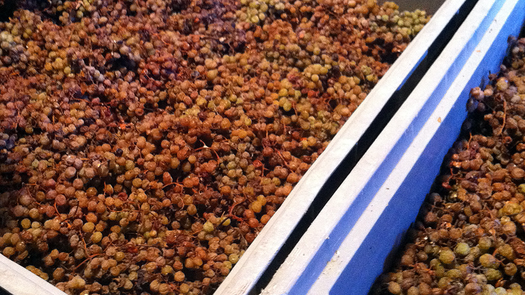 Spirito Italiano vino santo trentino spremitura nosiola