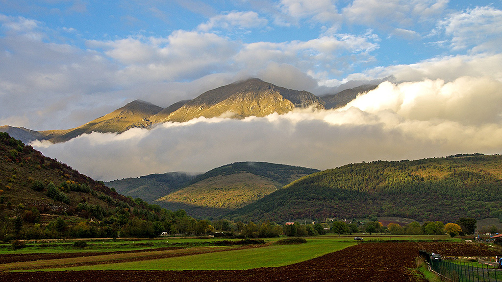 Spirito Italiano recensioni genziana quintessenza Spirito Italiano recensioni genziana quintessenza