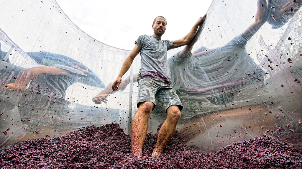 Spirito Italiano foto Pink Lady Food Photographer of the Year premi