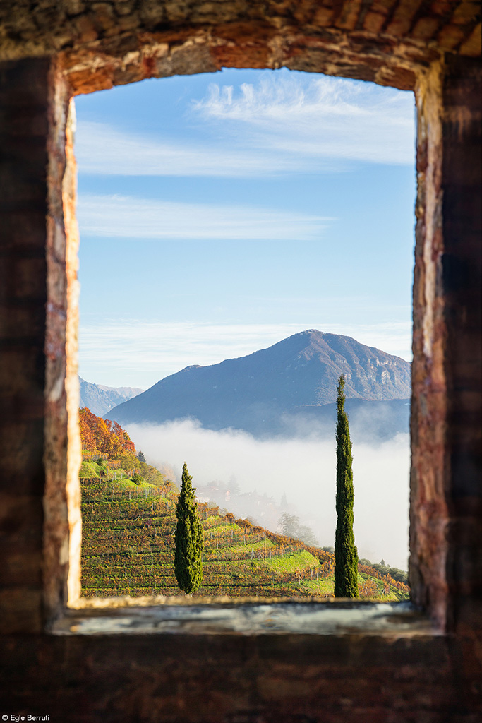 Spirito Italiano foto Pink Lady Food Photographer of the Year premi