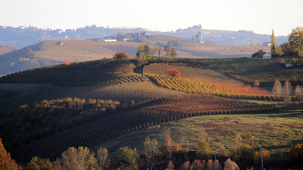 Spirito Italiano mercato vino coldiretti