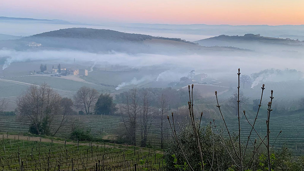 Spirito Italiano brunello montalcino gelata fuochi