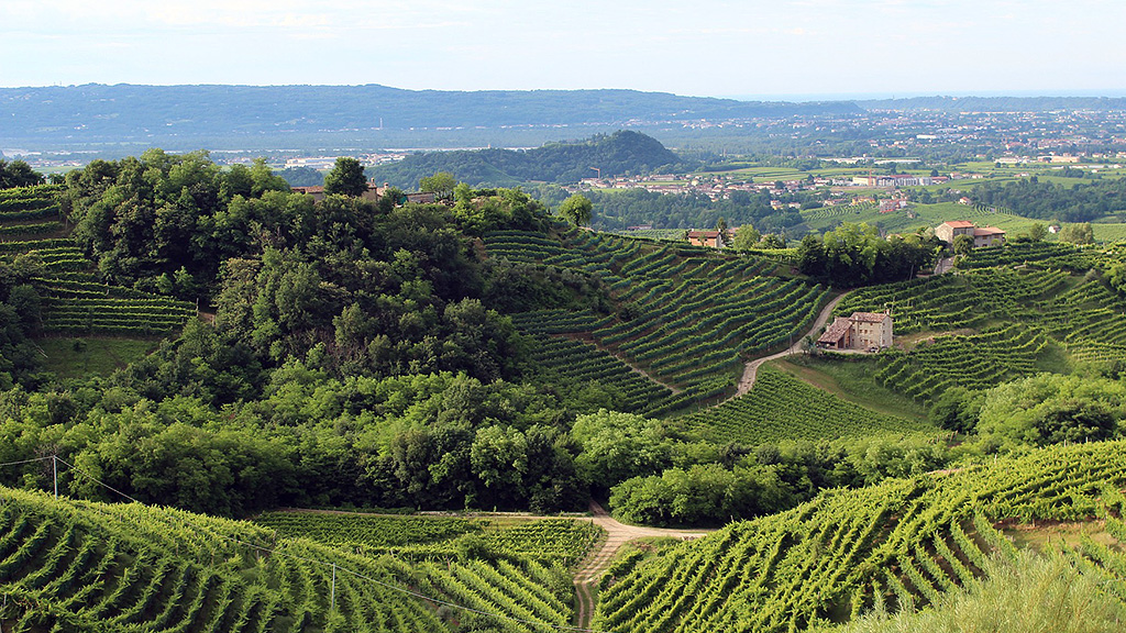 Spirito Italiano cantine aperte 2021