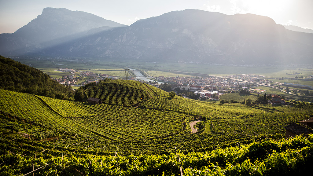 Spirito Italiano Trentodoc day online 2021