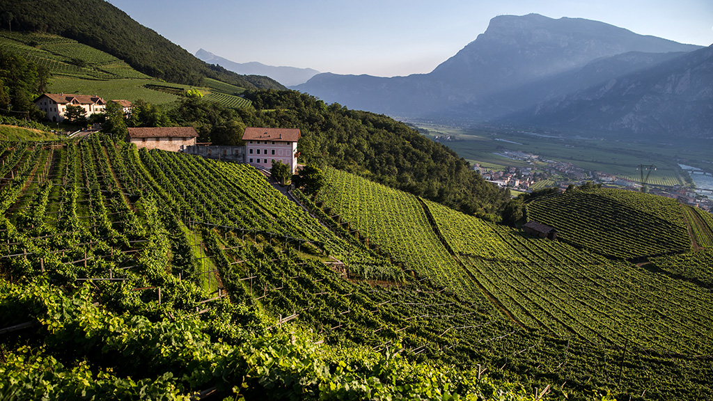 Spirito Italiano Trentodoc day online 2021
