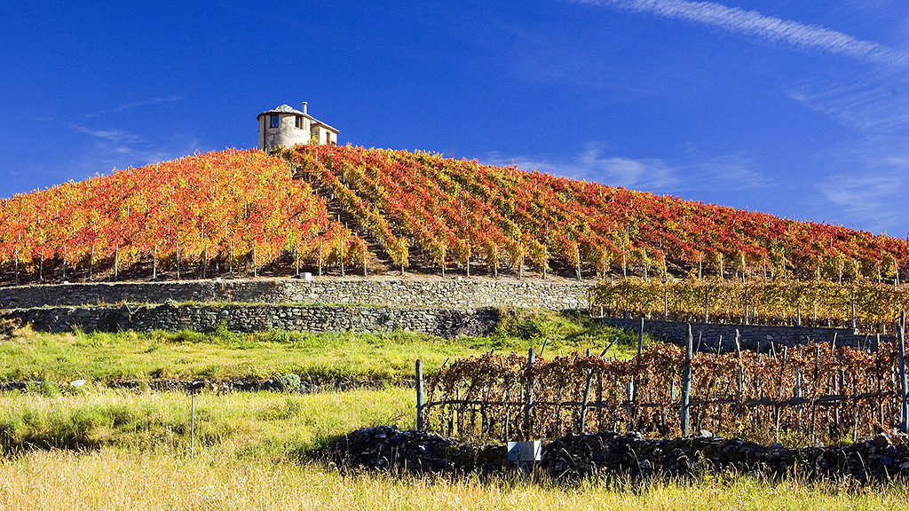 Spirito Italiano cantine aperte 2021