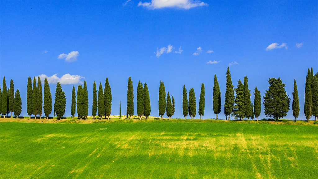 Spirito Italiano recensioni cremisi vermouth mugello Spirito Italiano recensioni cremisi vermouth mugello