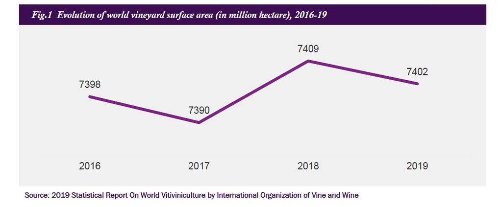 Spirito Italiano mercato del vino globale