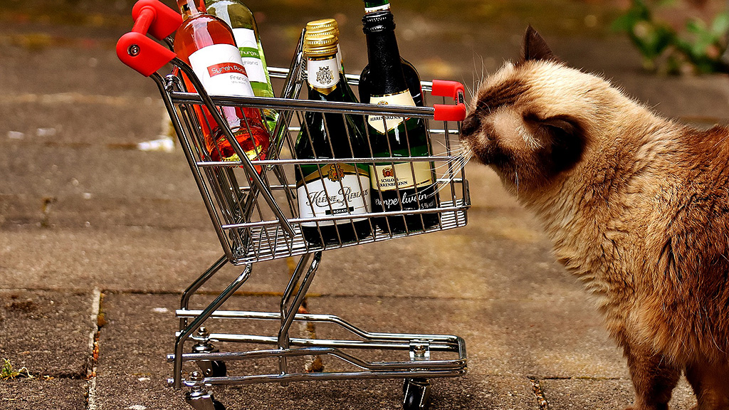 Spirito Italiano mercato del vino globale