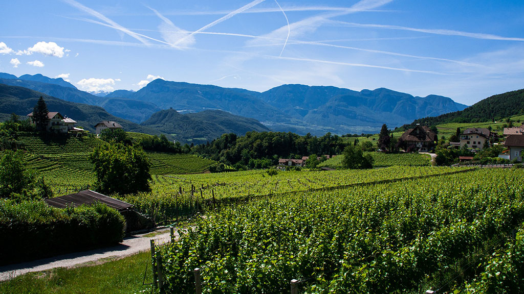 Spirito Italiano Mipaaf terreni vendita ismea agricoltura giovani