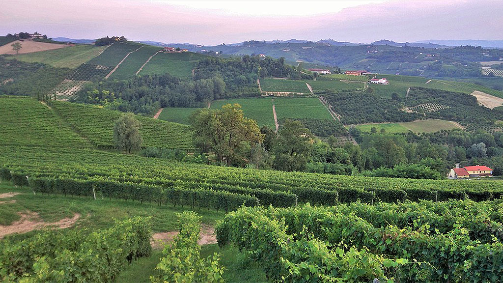 Spirito Italiano mostra torre volti di barbaresco