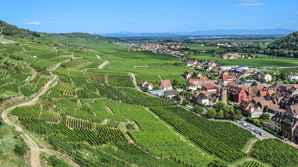 Spirito Italiano 50 sfumature di pinot noir francia