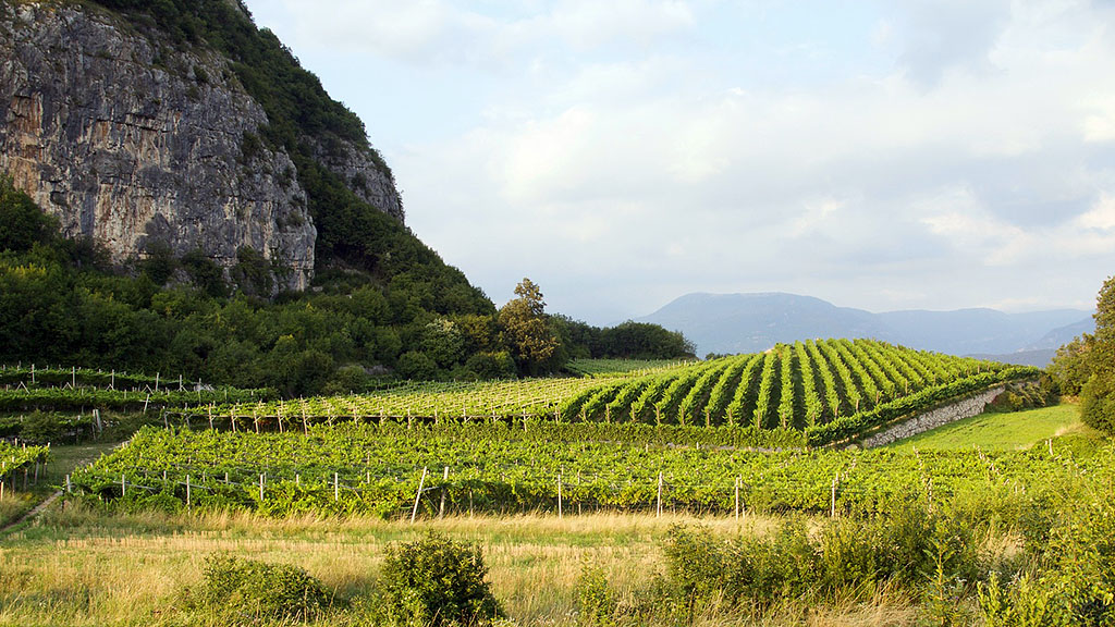 Spirito Italiano nuova pac commissione europea vino politica agricola