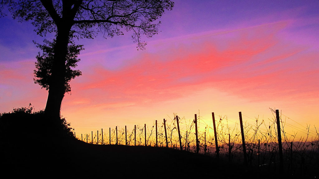 Spirito Italiano calici di stelle vino 2021
