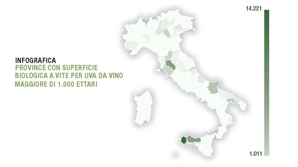 Spirito Italiano vino biologico italia dati ismea agricoltura