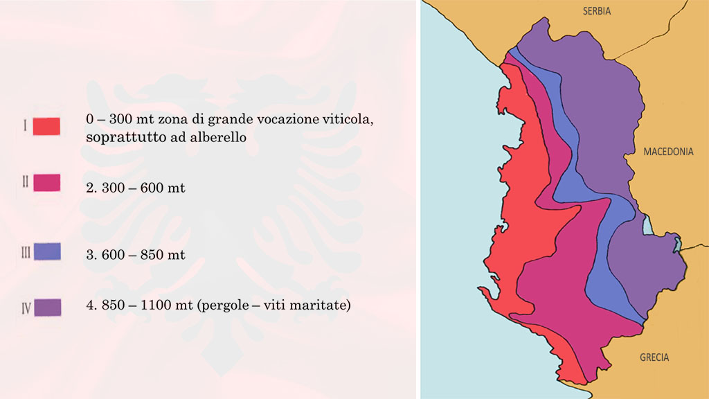 Spirito Italiano uve vitigni albania raki Spirito Italiano uve vitigni albania raki
