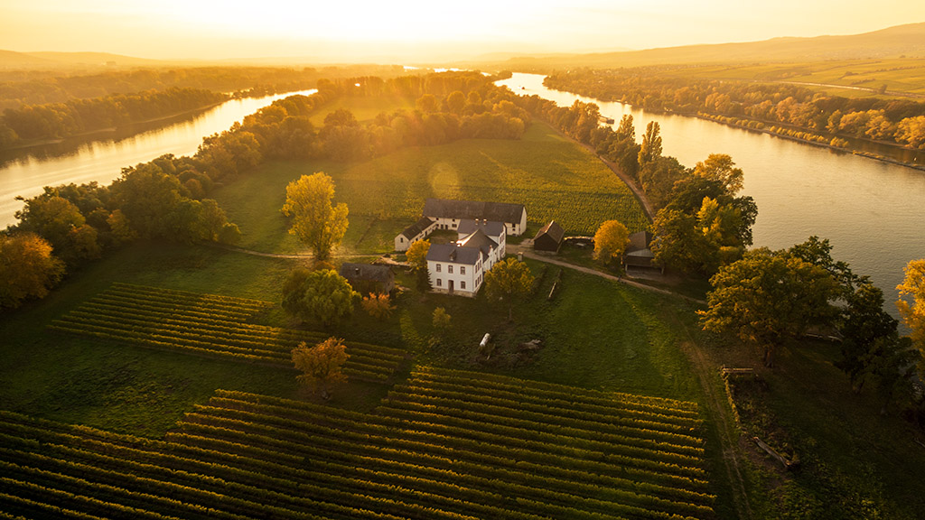 Spirito Italiano vino germania estate Spirito Italiano vino germania estate