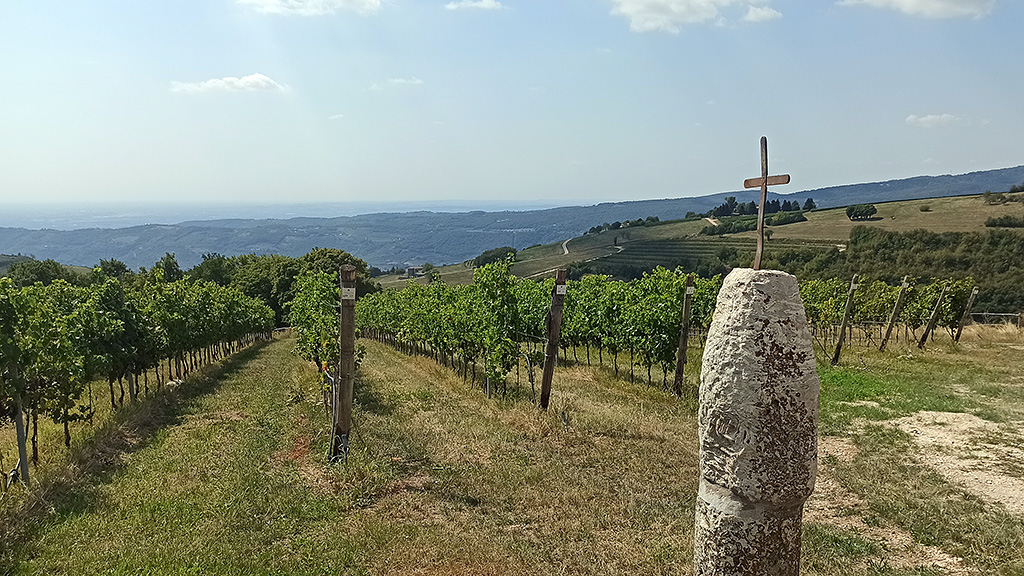 Spirito Italiano club en primeur collina ciliegi amarone