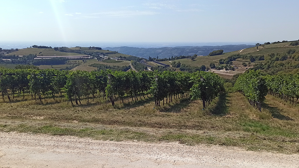 Spirito Italiano club en primeur collina ciliegi amarone