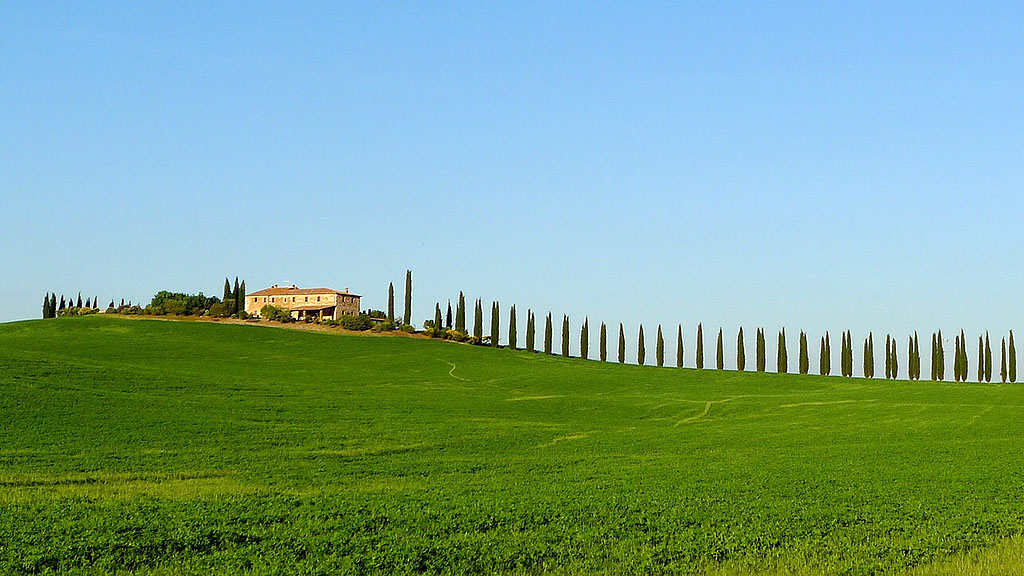 Spirito Italiano produzione vino mondo superfici vitate
