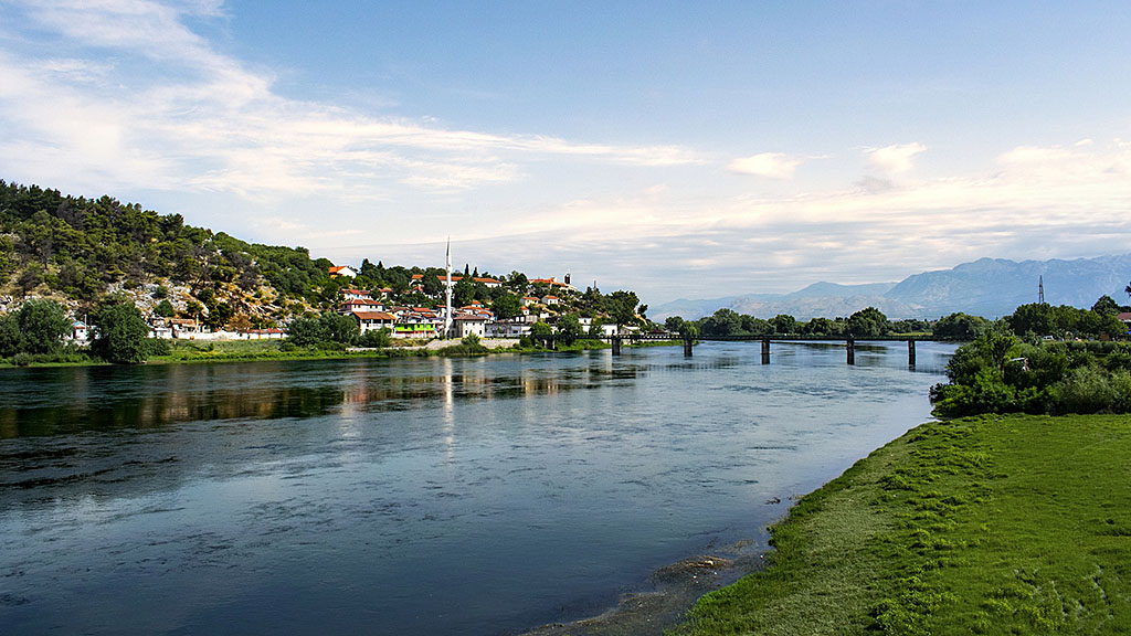 Spirito Italiano uve vitigni albania raki Spirito Italiano uve vitigni albania raki