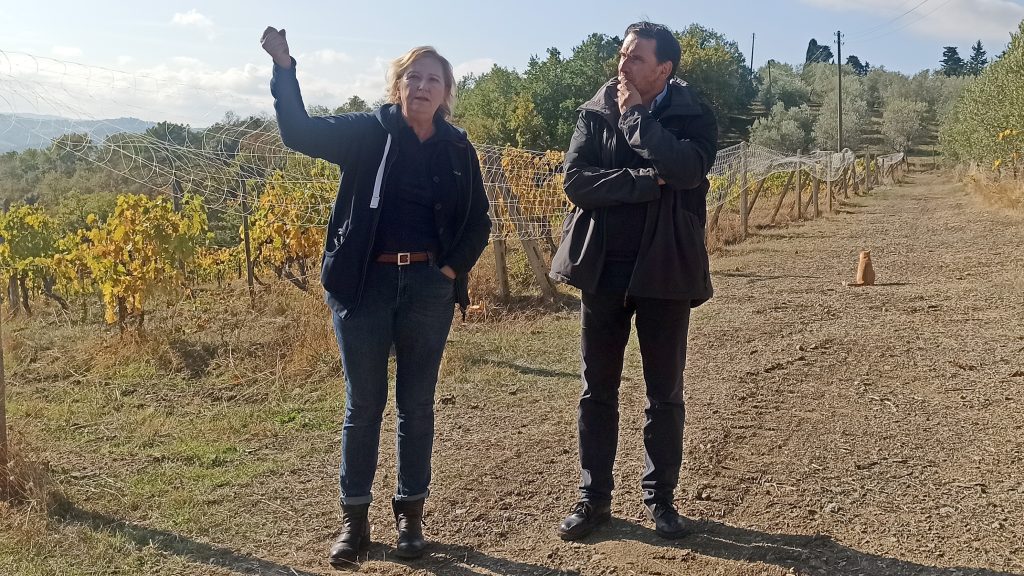 Spirito Italiano Santo Stefano chianti classico verticale Spirito Italiano Santo Stefano chianti classico verticale