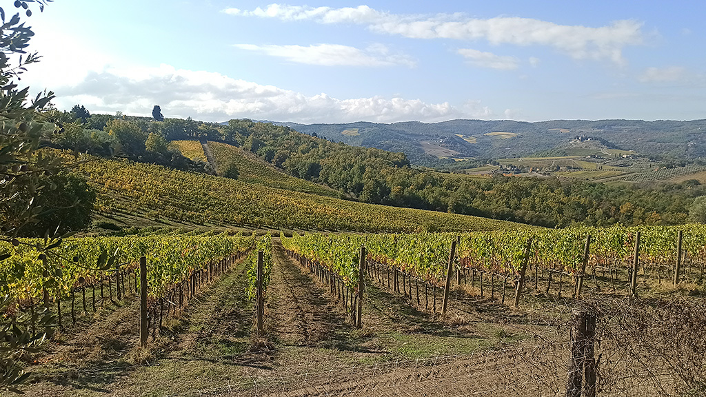 Spirito Italiano Santo Stefano chianti classico verticale Spirito Italiano Santo Stefano chianti classico verticale