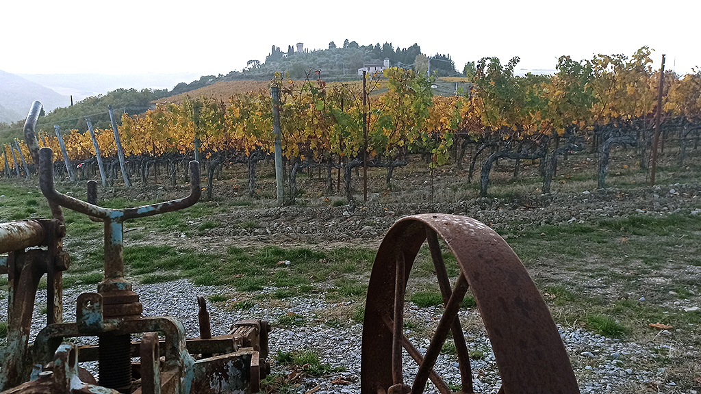 Spirito Italiano Viticoltori Greve in Chianti vicchiomaggio Spirito Italiano Viticoltori Greve in Chianti vicchiomaggio