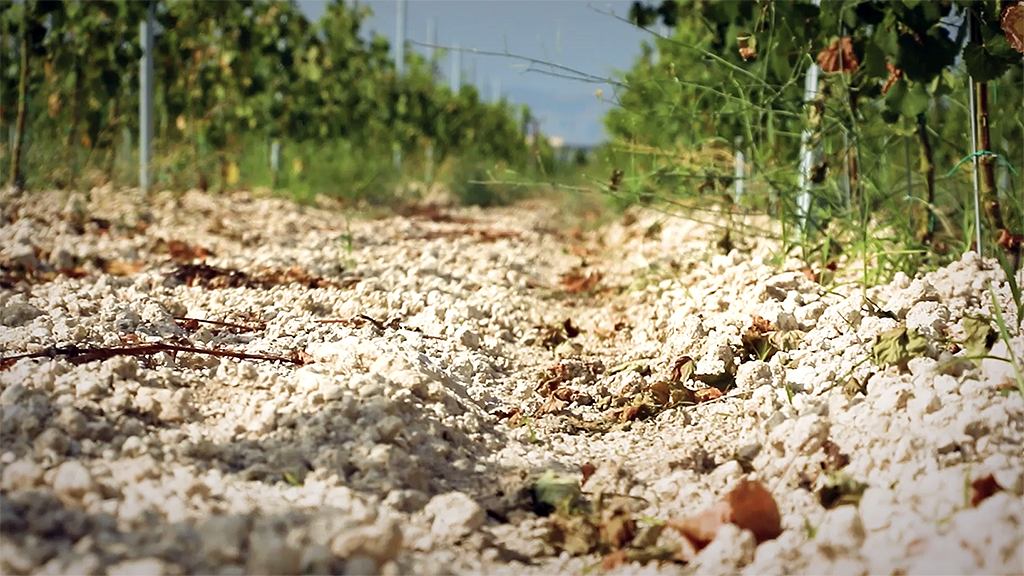 Spirito Italiano Podere 29 uva troia gelso marrano