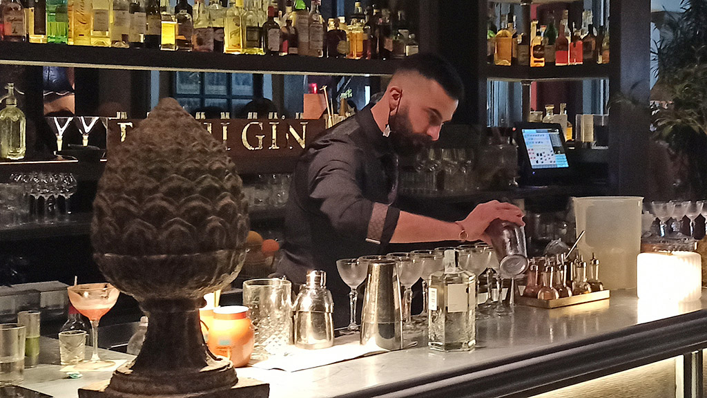 Spirito Italiano suntory roku gin